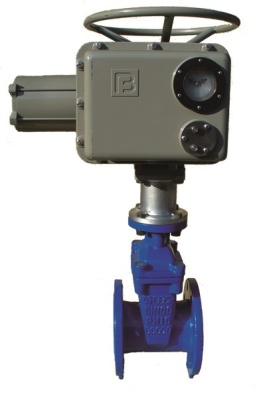 Задвижка с обрезиненным клином фланцевая ABRA с электроприводом Regada В Омске